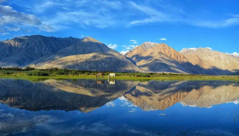 ladakh-tour-package