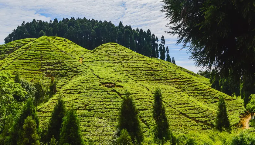 darjeeling-gangtok-tour-package