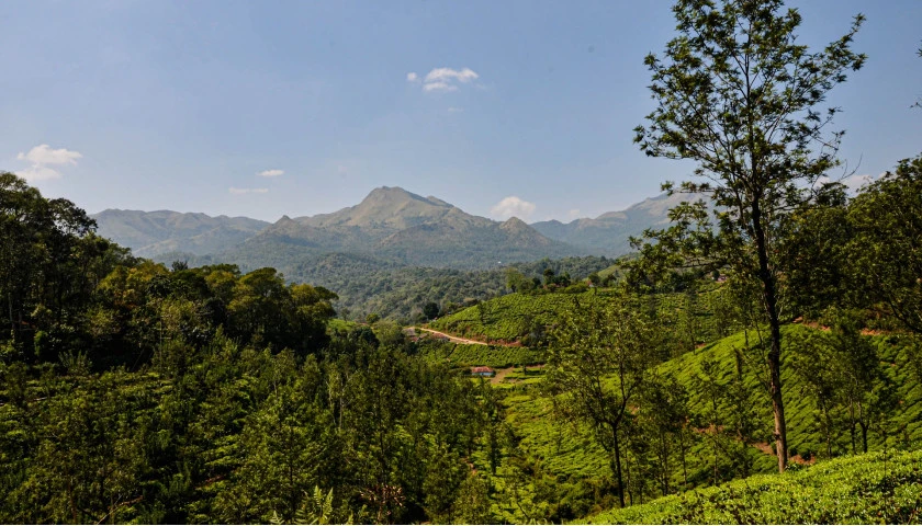 bandipur-national-park-tour-with-wayanad