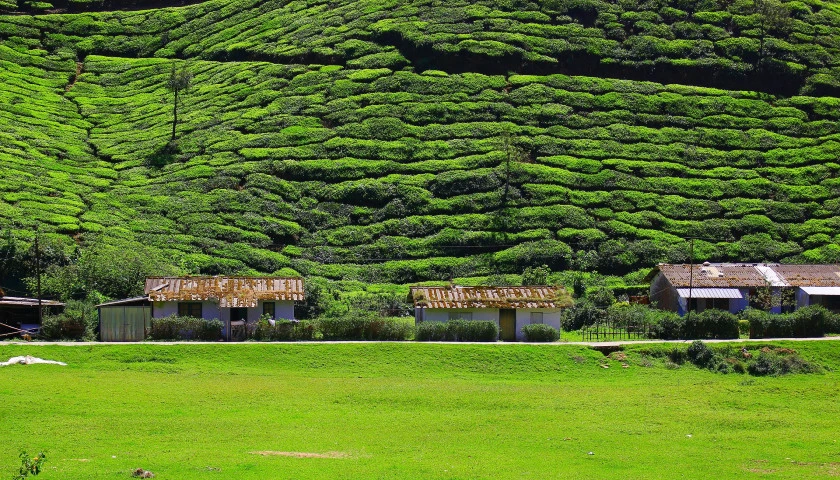 munnar-tour-package